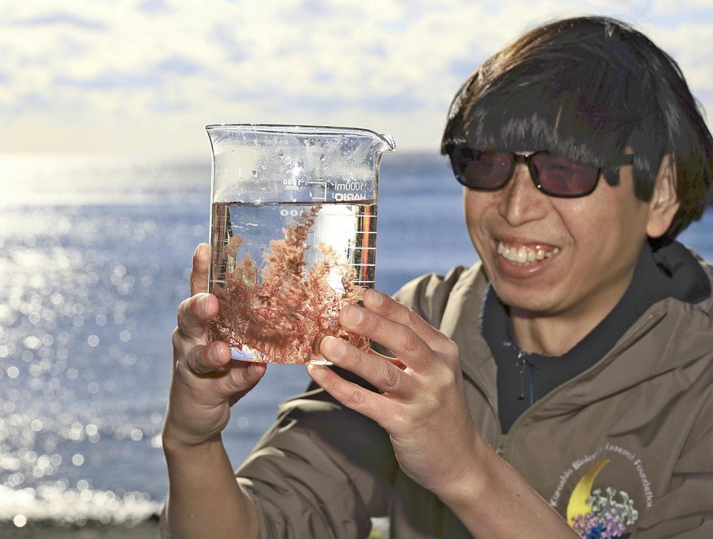 カギケノリを手にする日野出さん。陸上養殖に向けた研究が進む（大月町で）＝近藤誠撮影