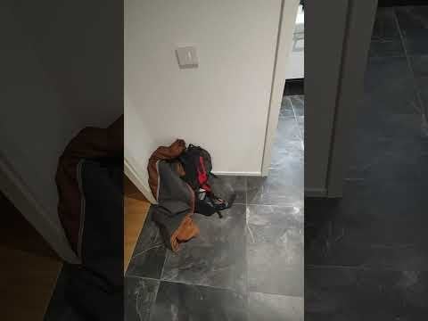 新築マンションだけど騒音がうるさくて住めない、契約解除の可能性あり?? 新築マンションだけど騒音がうるさくて住めない、契約解除の可能性あり??