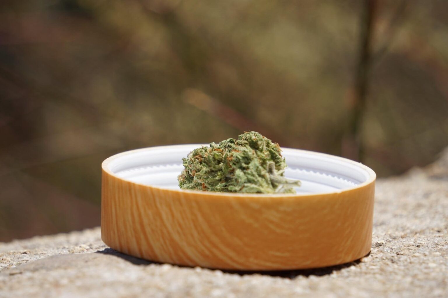 ドイツに続いてポルトガルも大麻を合法化するのは今年になるだろうか？