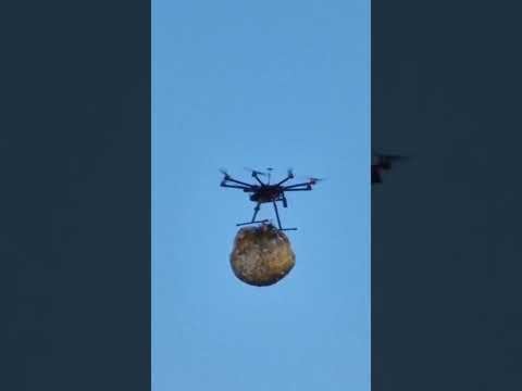 チューリッヒのマネードローン、チャイナガーデン
