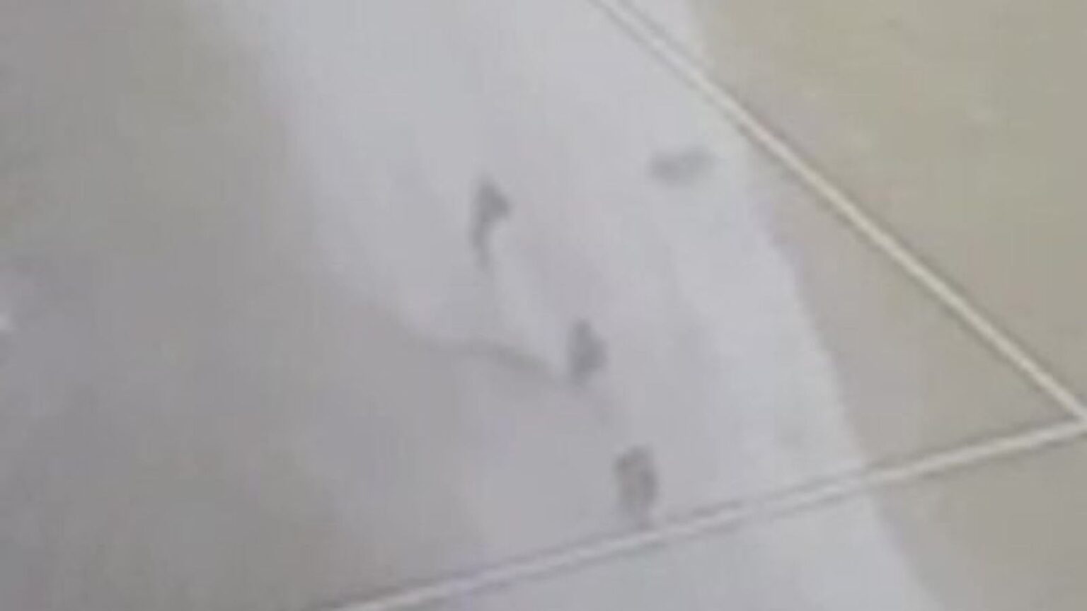 ウクライナの兵士は、スカイニュースのデボラ・ヘインズとともに、ヴォフチャンスク市内からのドローン映像を共有し、ウクライナの町内で活動するロシア兵士を映した。