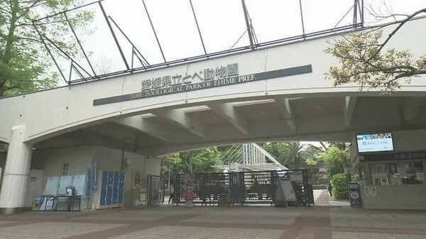 とべ動物園でエミューが柵壊し脱走 捕獲後にショックで死ぬ 遠足多く何かに驚いたか【愛媛】