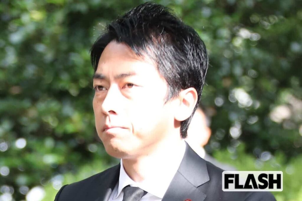 阿蘇、釧路に続き知床でも…景観破壊の元凶「太陽光パネル」思い出される小泉進次郎氏「国立公園で再エネ促進」発言 ―「メガソーラー発電乱立」