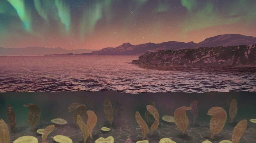 「エディアカラ紀」の地磁気は弱かった 生物が大型化した理由の可能性 - sorae 宇宙へのポータルサイト