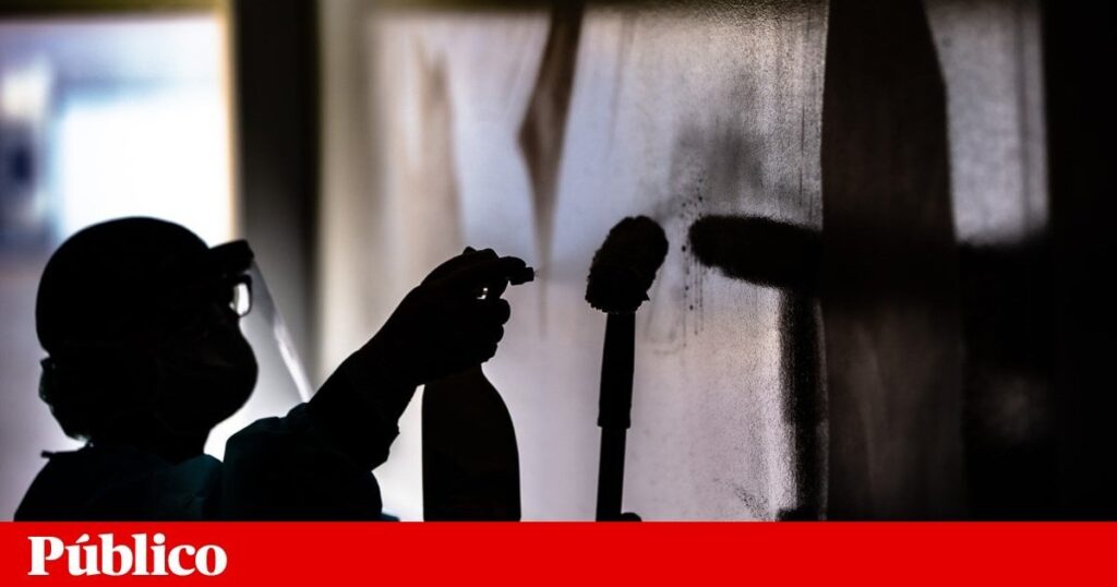 226,000人以上が家事労働者として登録されています。 仕事