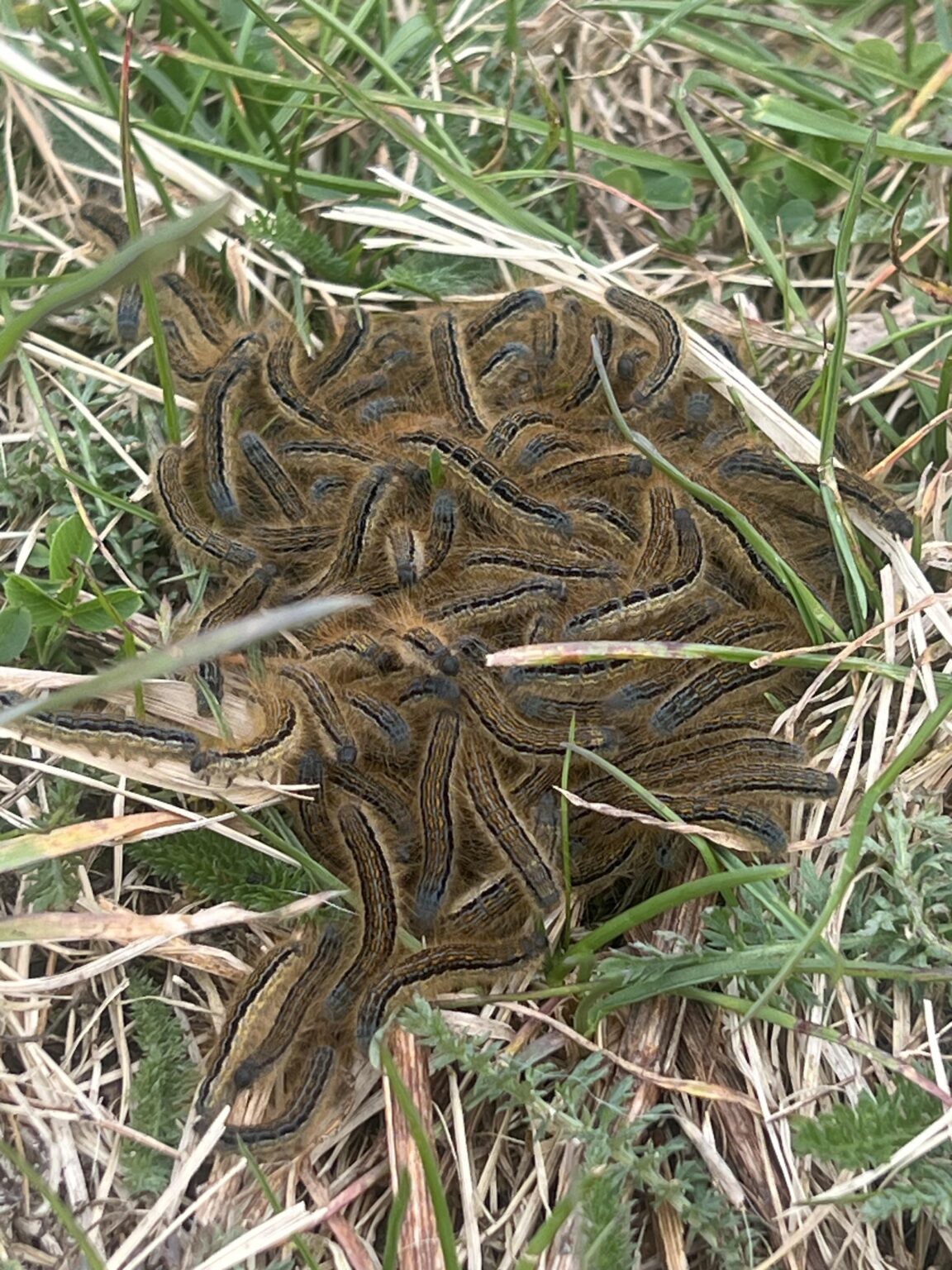 何が起きてる？