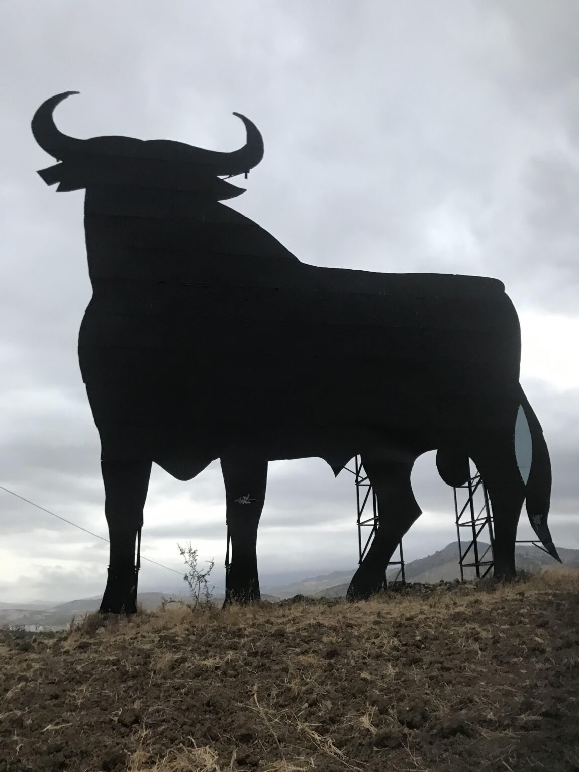 マラガ近郊のオズボーンの雄牛。
