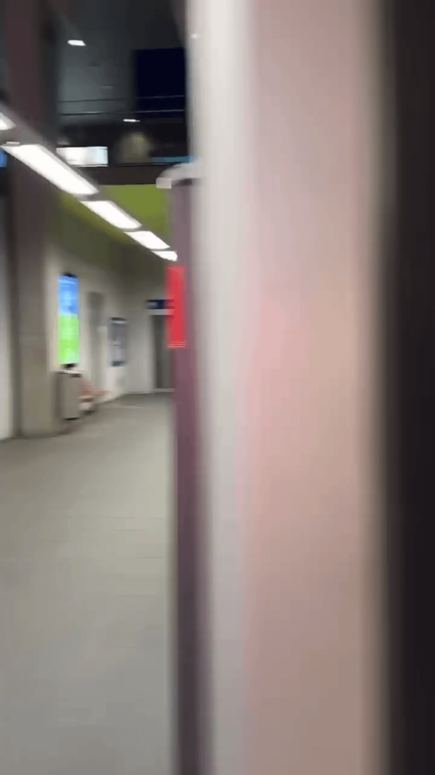 [Meme] ローザンヌの地下鉄のアンドリュー・テート