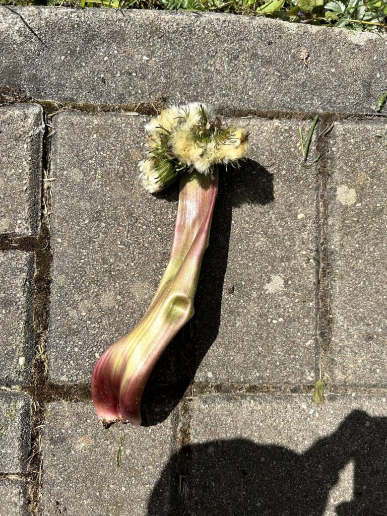減少