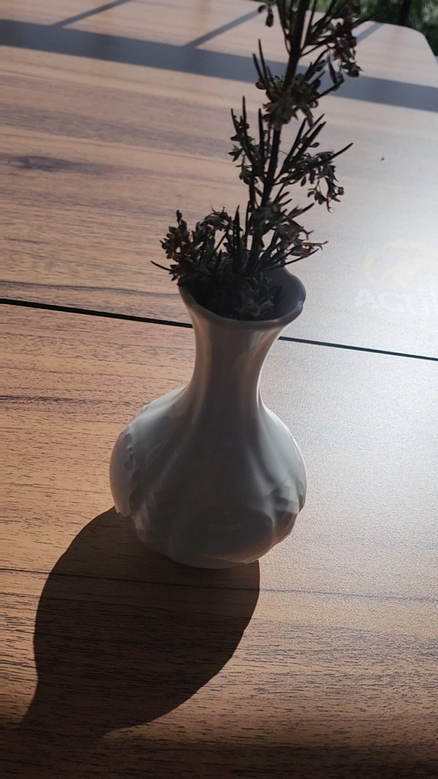 どのようなビューに注目してください