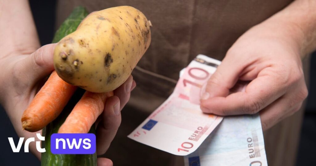 ヴィヴァルディと指数は低所得世帯にマイナスの影響を与えた
