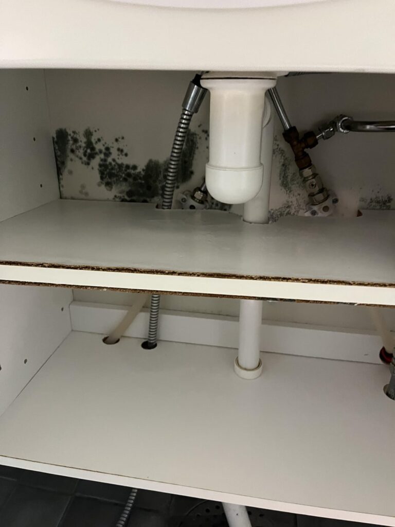木材からカビを取り除く方法