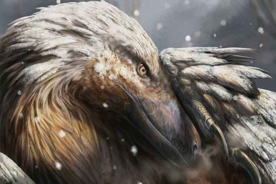 体温を一定に保つ「恒温性能」は1億8000万年前の恐竜の間で進化していた！ - ナゾロジー