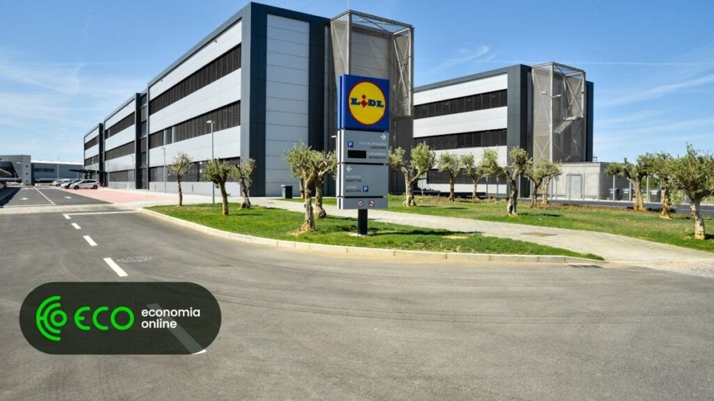 Lidlでは夏の間インターンをしたい学生を募集しています