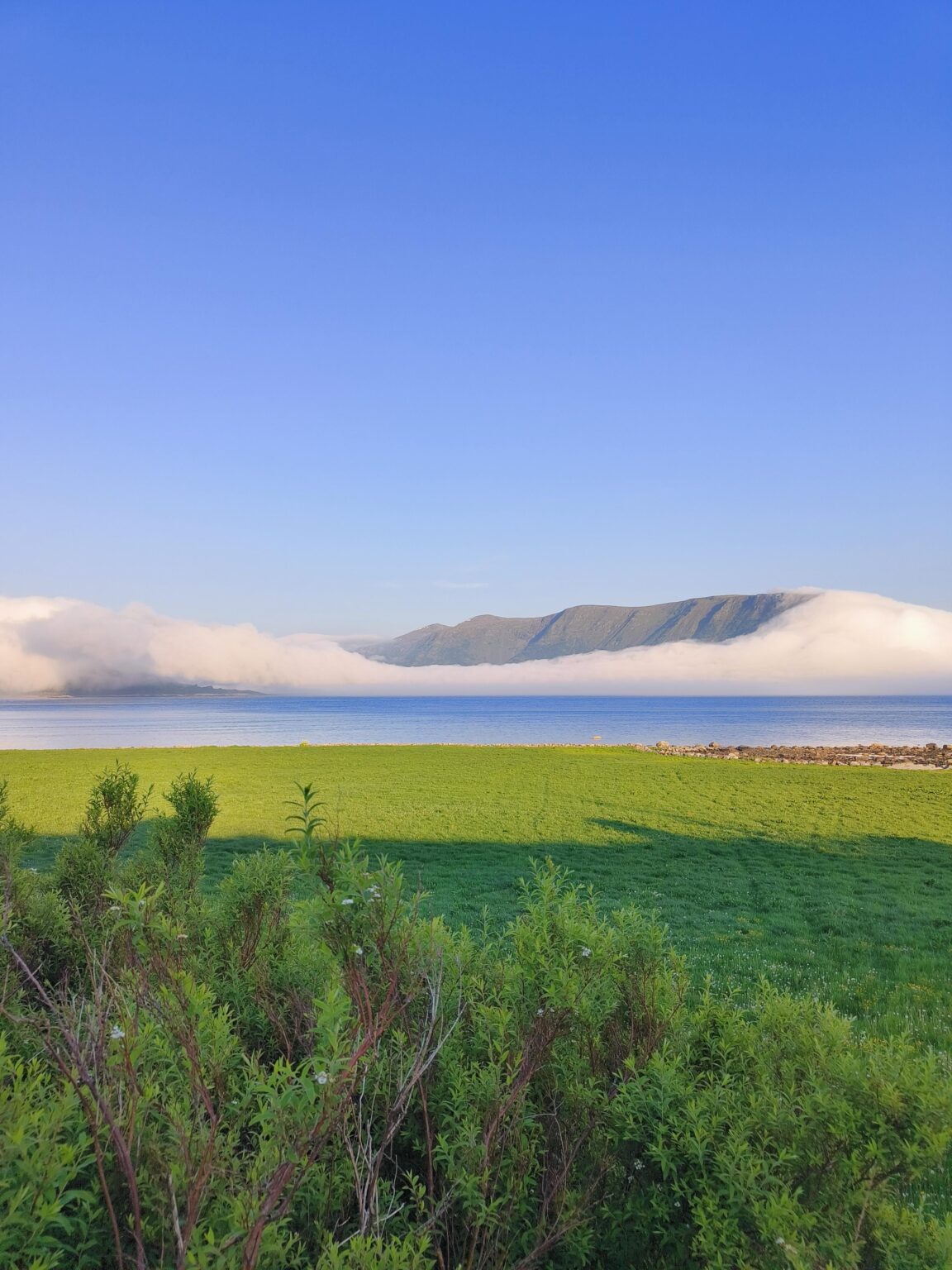 今日はギスケで