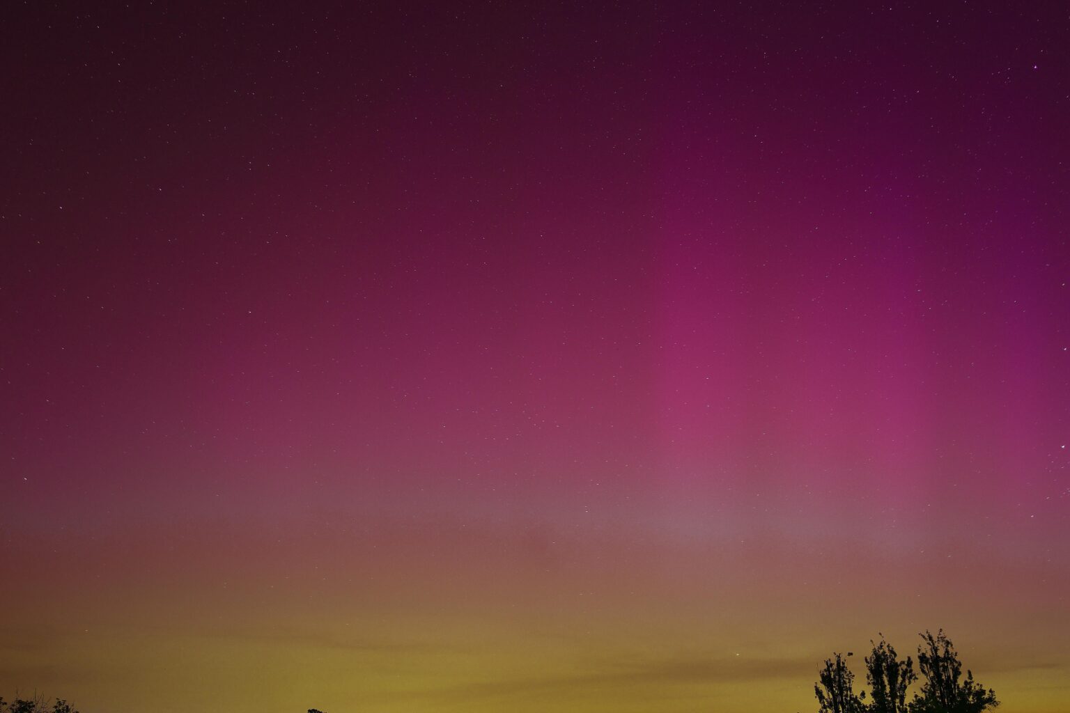 昨日のノーザンライツの写真です！