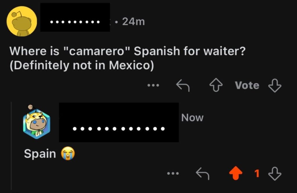 カスティーリャスペイン語 vs ラテンアメリカスペイン語