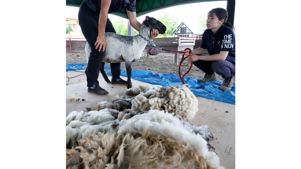 [Pick up photos] 暑い夏を前にすっきり