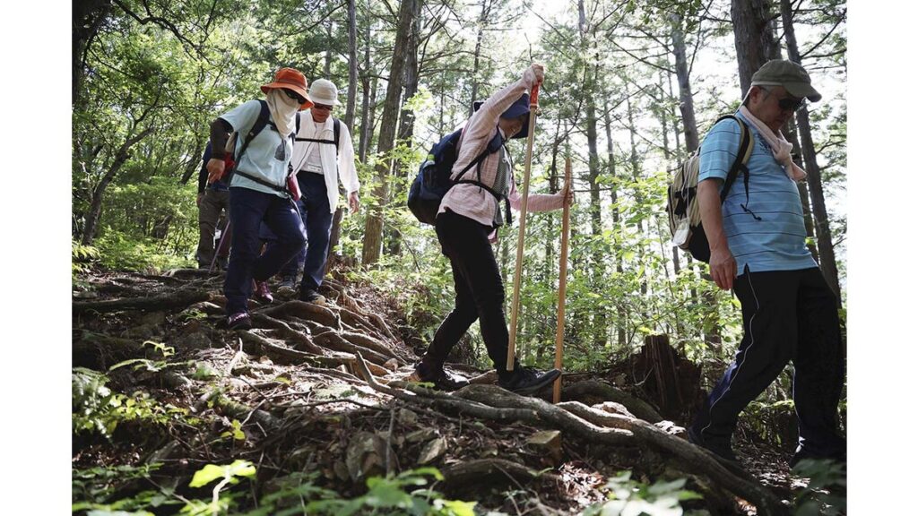 [熊野古道・世界遺産登録２０年] 荷坂峠で望む海が絶景 第5回伊勢路踏破ウォーク