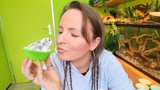 禁止されているペットを捕食する：「人々は依然として買いだめを望んでいる」