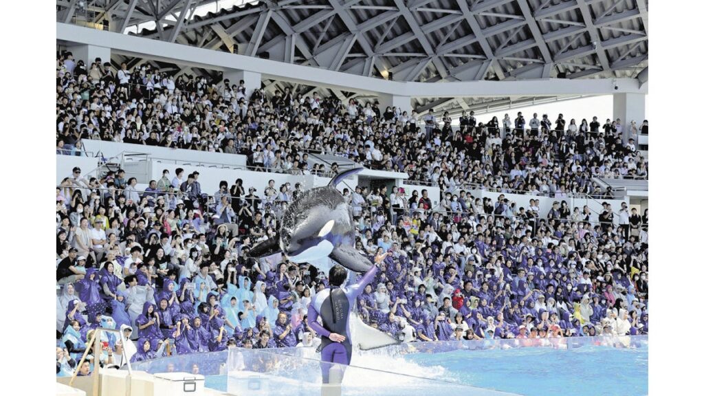[社会] 新生「神戸須磨シーワールド」…シャチが大ジャンプ、初回のショーには立ち見客も