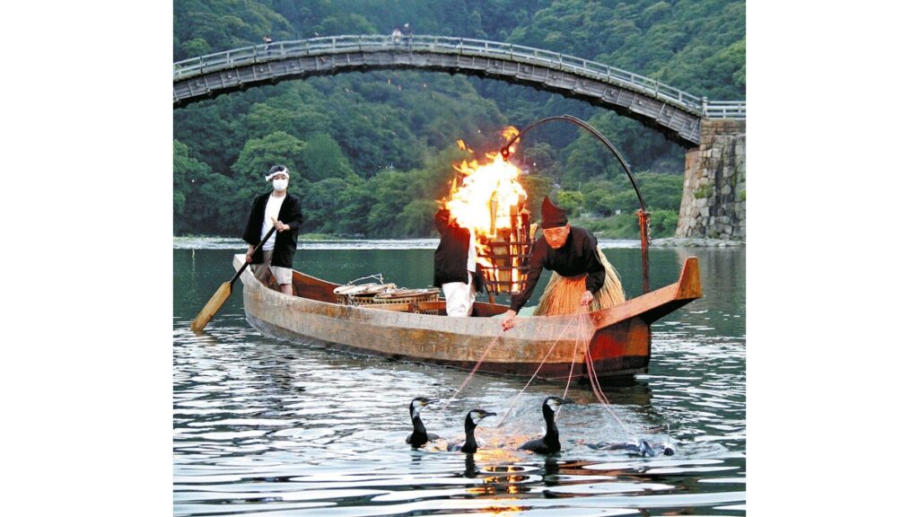 [ニュース] 「錦帯橋のう飼」山口県岩国市の錦川で始まる…４００年続く伝統漁法、鵜が清流でアユ探す