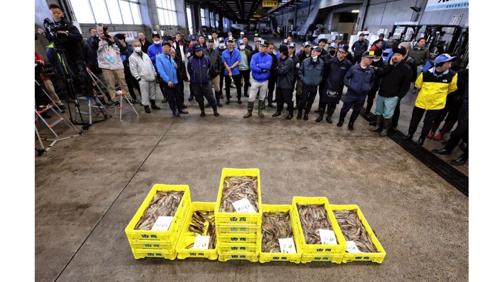 [社会] 「イカがいる雰囲気が全然ない」…記録的な不漁続くスルメイカ、函館の初水揚げは前年の２割