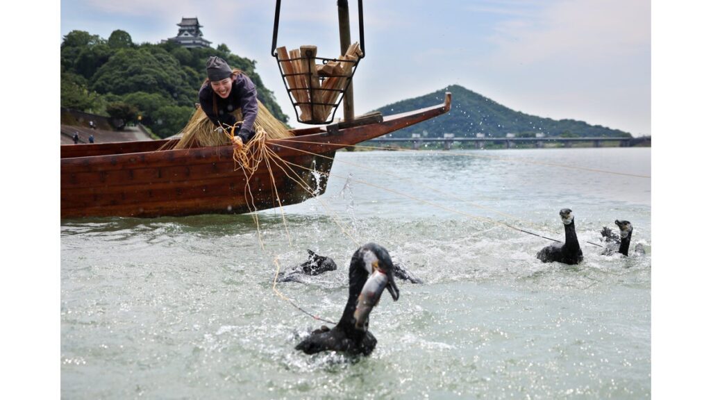 [Pick up photos] 木曽川鵜飼 今年も開幕