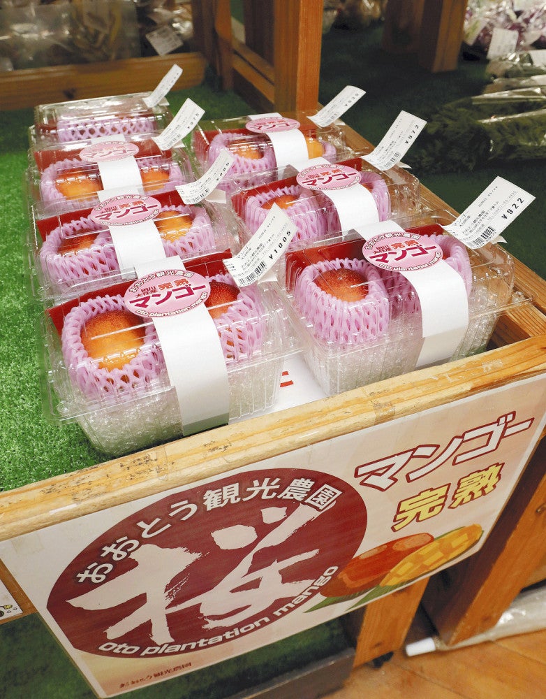 マンゴーが並ぶ道の駅「おおとう桜街道」の販売コーナー