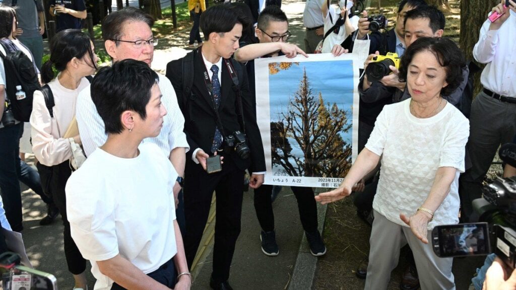 【東京】蓮舫参院議員が神宮外苑再開発計画地区のイチョウ並木を視察 - 立憲民主党