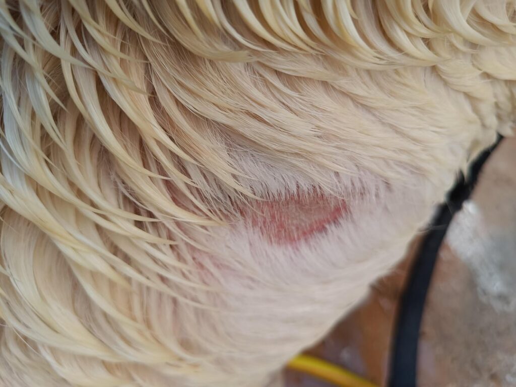 誰か助けてくれませんか