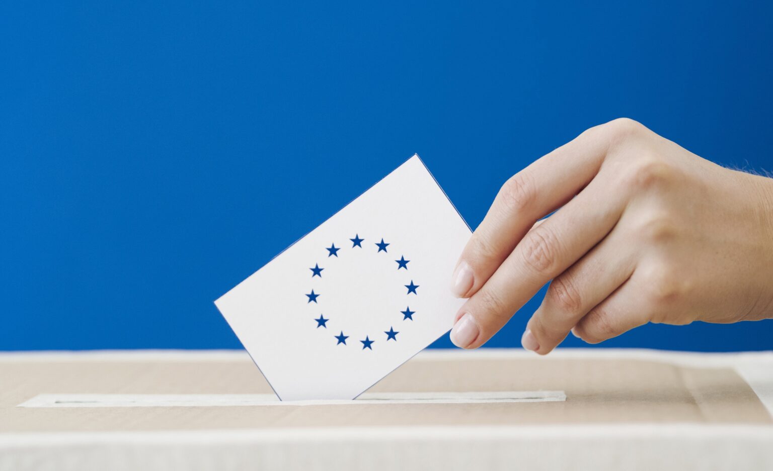 民主党はキプロス系トルコ人（有権者約10400人）に対し、EU選挙で投票しないよう懇願