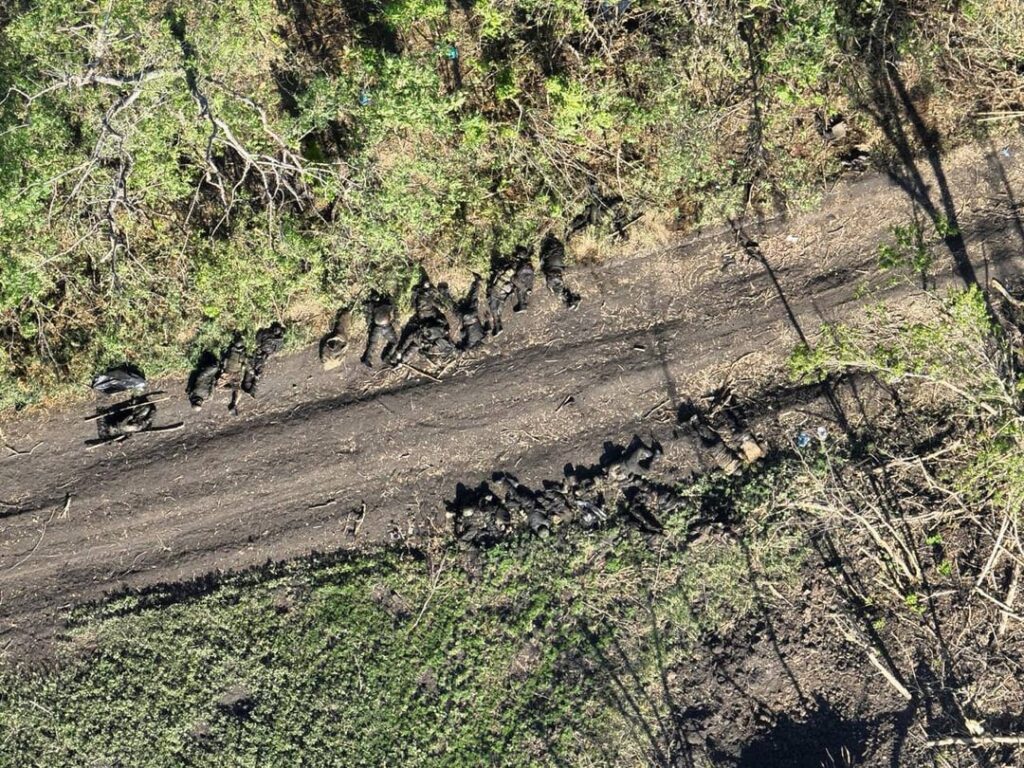暑さのため、ロシア軍は陣地の周囲に死者を集め、数十人が死亡したことを明らかにした。