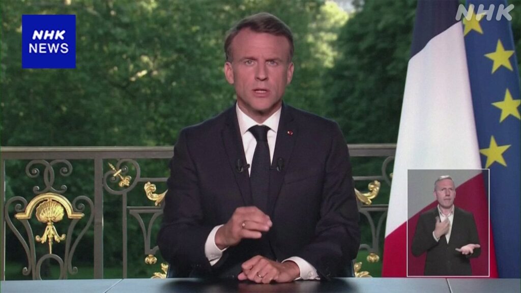 欧州議会選挙 極右政党などが躍進か フランスは議会解散へ