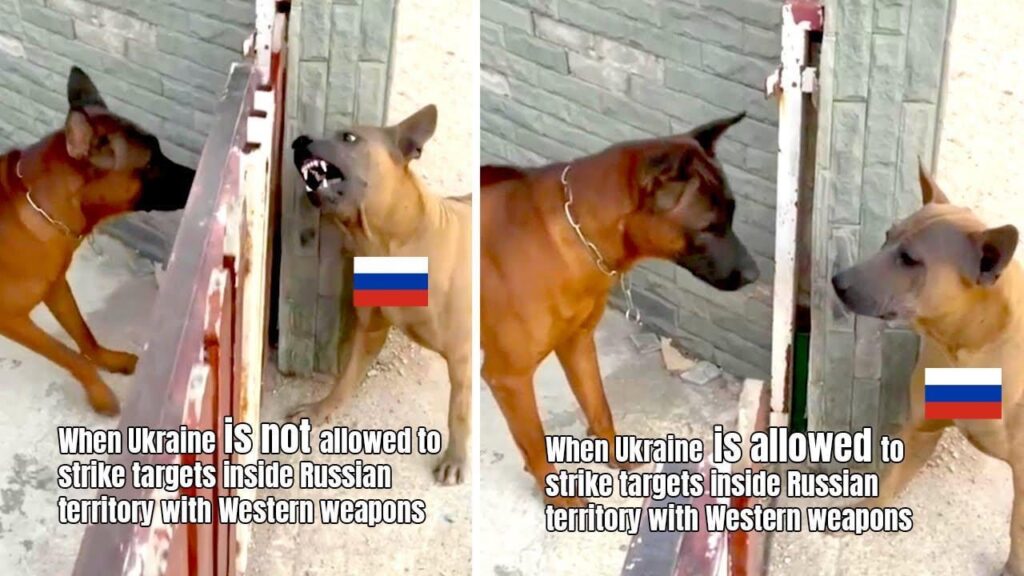 ロシアでウォッカを飲むときはウクライナに脅威を与えないように。つまり、ロシア人はウクライナに提供された西側諸国の兵器によるロシア領土への攻撃の可能性に非常に落胆している。今や、勝算はゼロだが、プーチン大統領とその手下たちは以前ほど冷静ではない。