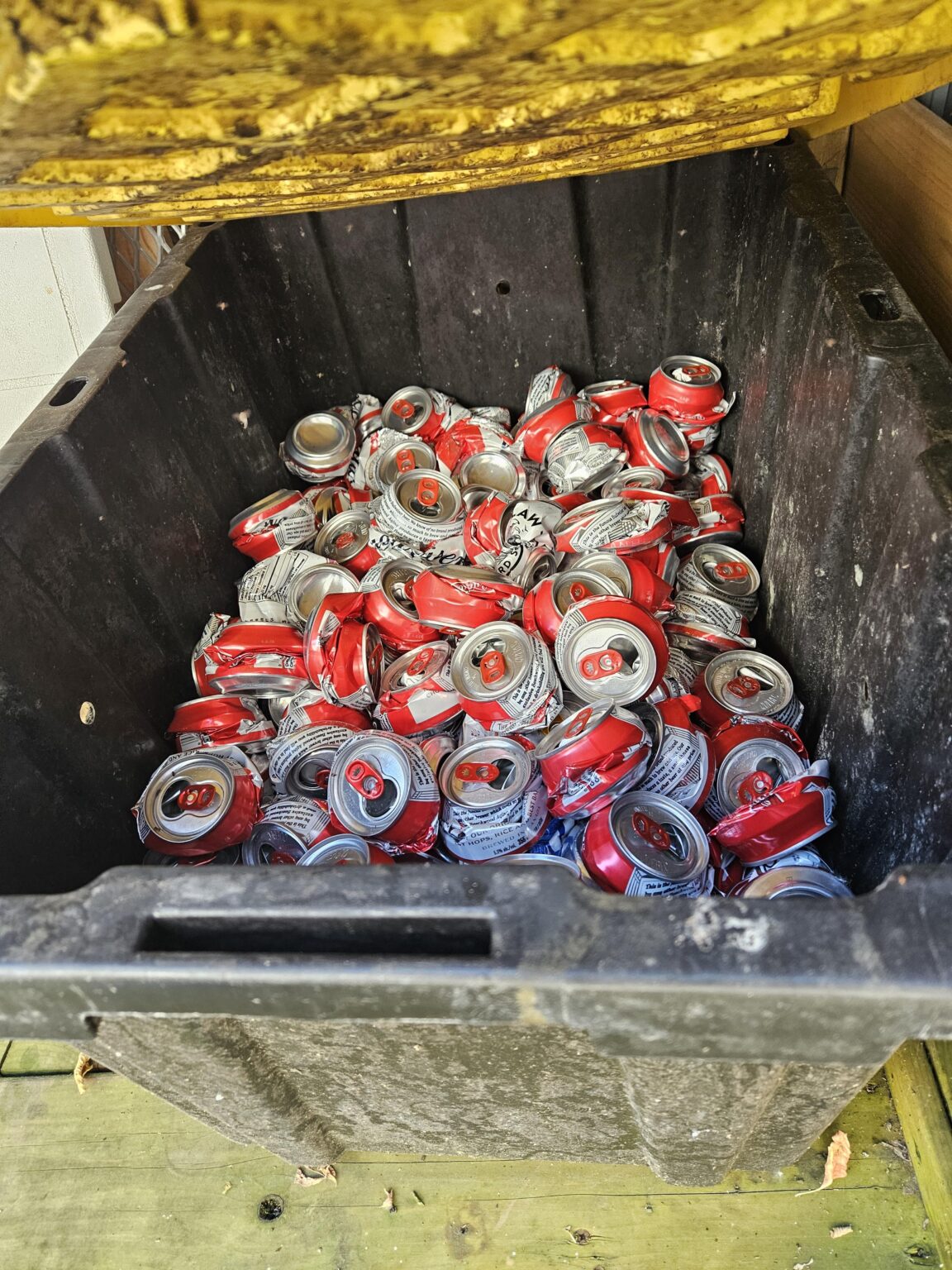 カナダ人です。これは面白いだろうと言われました