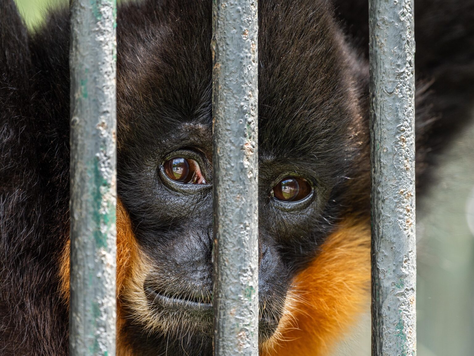 刑務所の中での生活