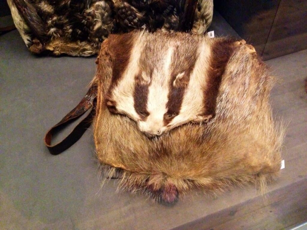 フィンランド国立博物館にあるこのアナグマの袋（ボール付き）