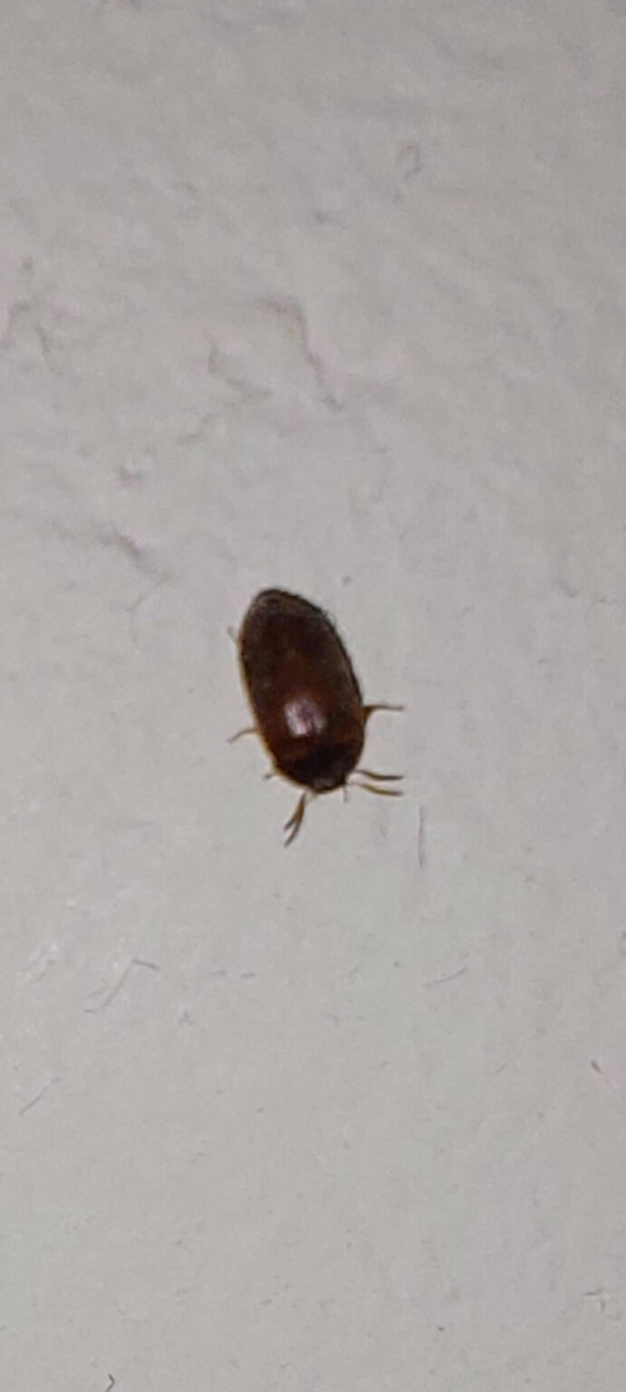 これは誰ですか？