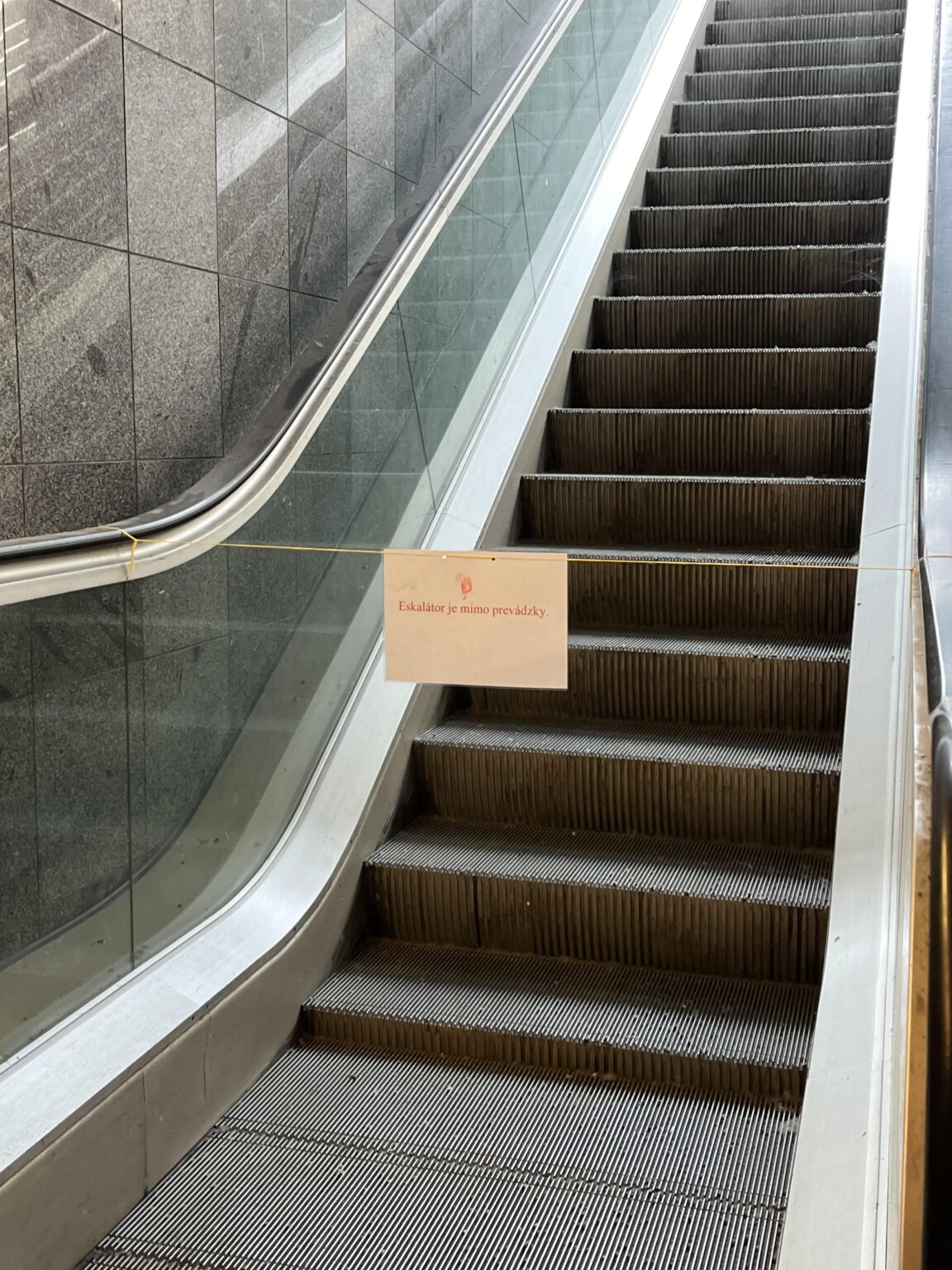パセリステーション - いつか機能するでしょうか？
