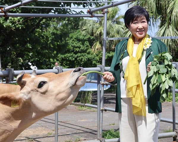 小池知事は八丈島でも報道陣から逃げまくり 囲み取材ナシ&学歴詐称疑惑の問いかけにピリつく ―「選挙の時だけ来て八丈島の何が分かるの？」