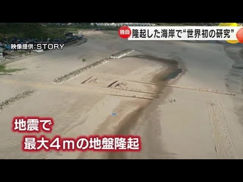 地震で最大4mほど隆起…「海底地形の成り立ち探れる」輪島の海岸で金沢大等のグループが世界初の研究開始 (2024年6月6日)