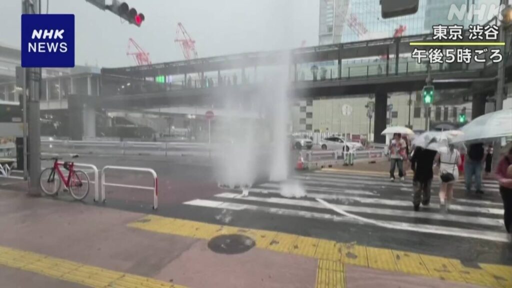 関東 局地的に雷ともなう激しい雨 浸水などに十分注意を | NHK - nhk.or.jp