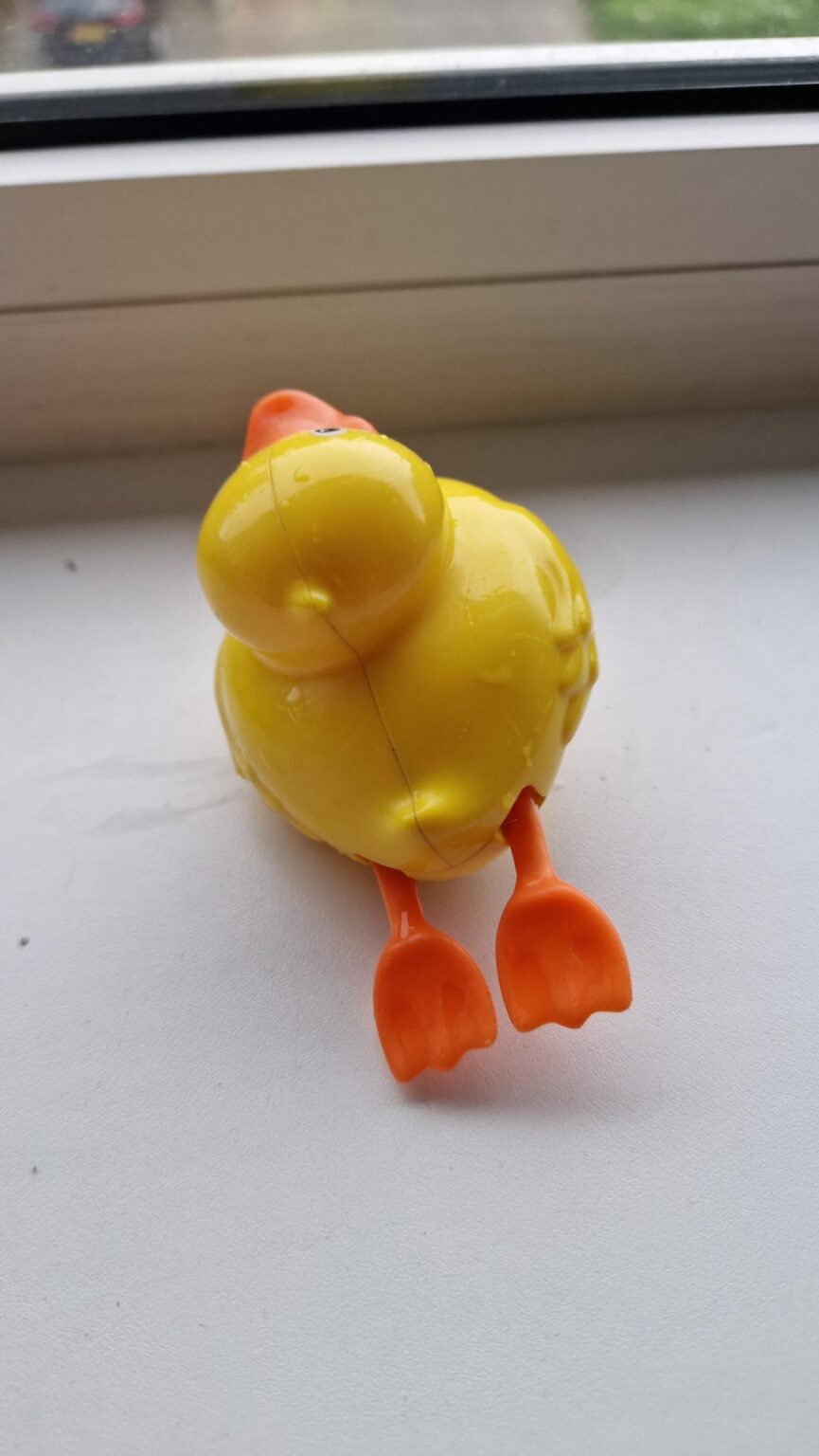 アヒルを見つけるのを手伝ってくれませんか？