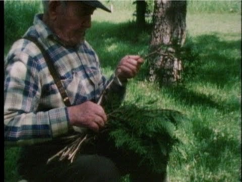 フィンランド人は米国のフィンランド人移民コミュニティとその物語を知っていますか? もしそうなら、フィンランド人はそれについてどう思いますか？
