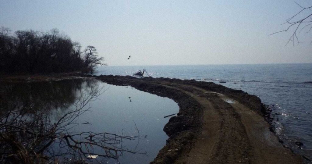 「琵琶湖に道ができている」と通報　湖岸に無許可の通路　県が告発 | 毎日新聞