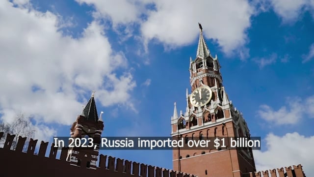 2023年、ロシアは主に中国から10億ドル相当以上のマイクロエレクトロニクスを輸入した。発見された西側諸国の電子機器の60％以上は米国で製造され、違法なルートで供給されている。モスクワはこれらの製品をミサイルや軍事兵器に利用し、戦争犯罪を犯している。