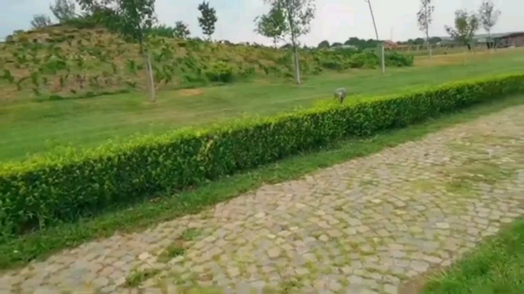水しぶきを浴びるために「歴史公園」に来てください