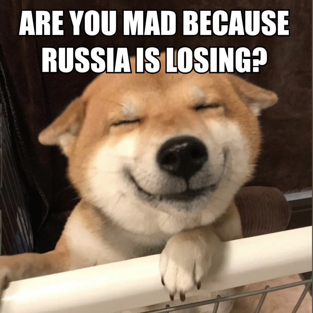 ハマス（イラン）と北朝鮮と同盟を組み、2014年と2022年にウクライナで戦争を始めたのはロシアだ。「偽善者」だ。