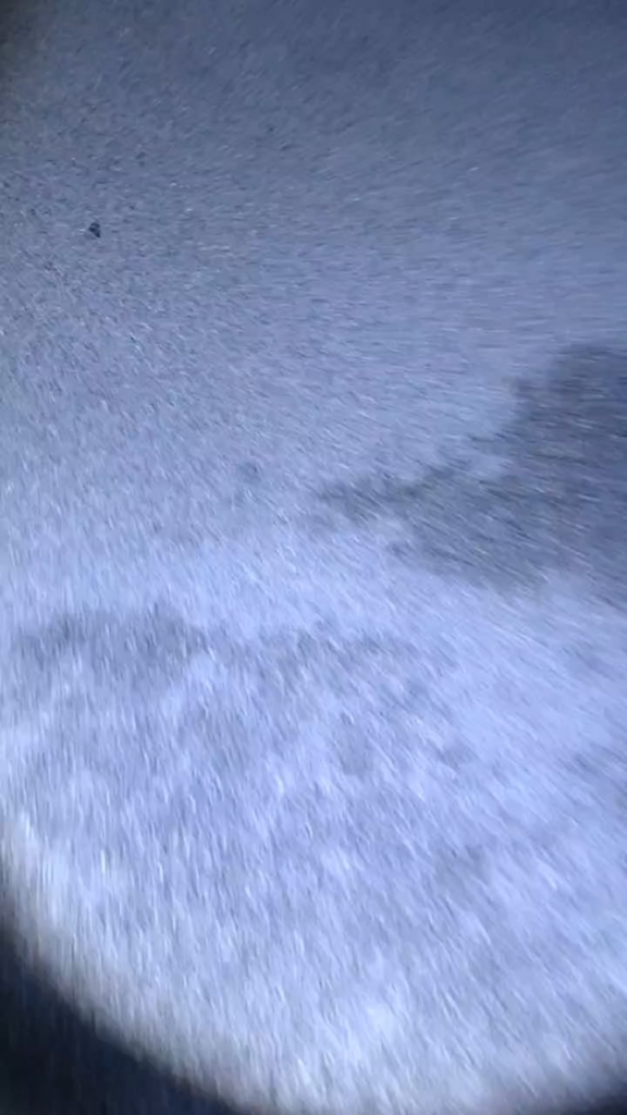 夜の訪問者